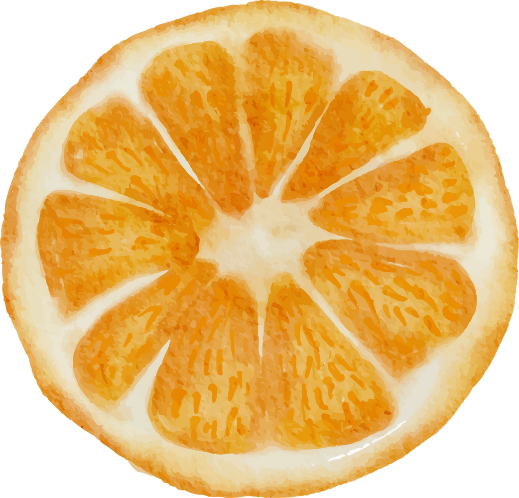 Orange Slice in Water Color for Decorative Element