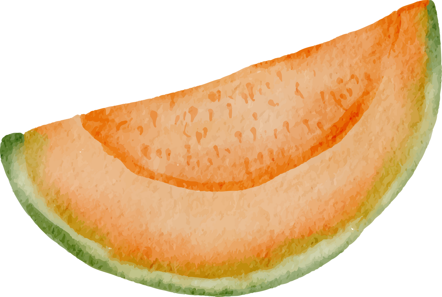 Melon in Water Color for Decorative Element